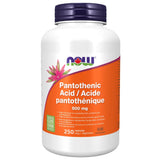 NOW Pantothenic Acid 500mg 250 Vegetable Capsules - Nature's Source Inc