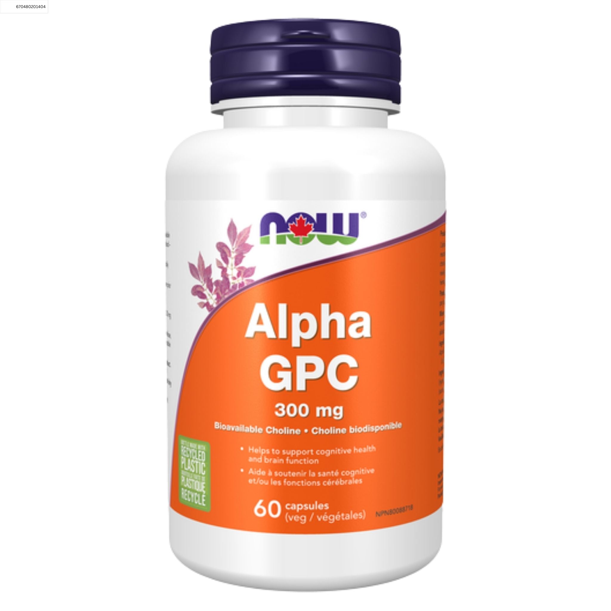 NOW Alpha GPC 300mg 60 Vegetable Capsules - Nature's Source Inc