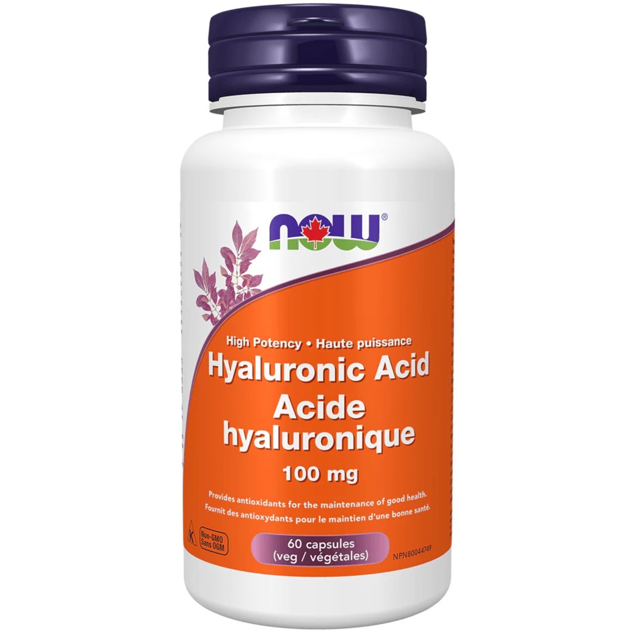 NOW Hyaluronic Acid 100mg 60 Vegan Capsules - Improves Joint Flexibility and Movement, Acts as a Joint Lubricant, Reduces Fine Lines and Wrinkles - Nature's Source Inc