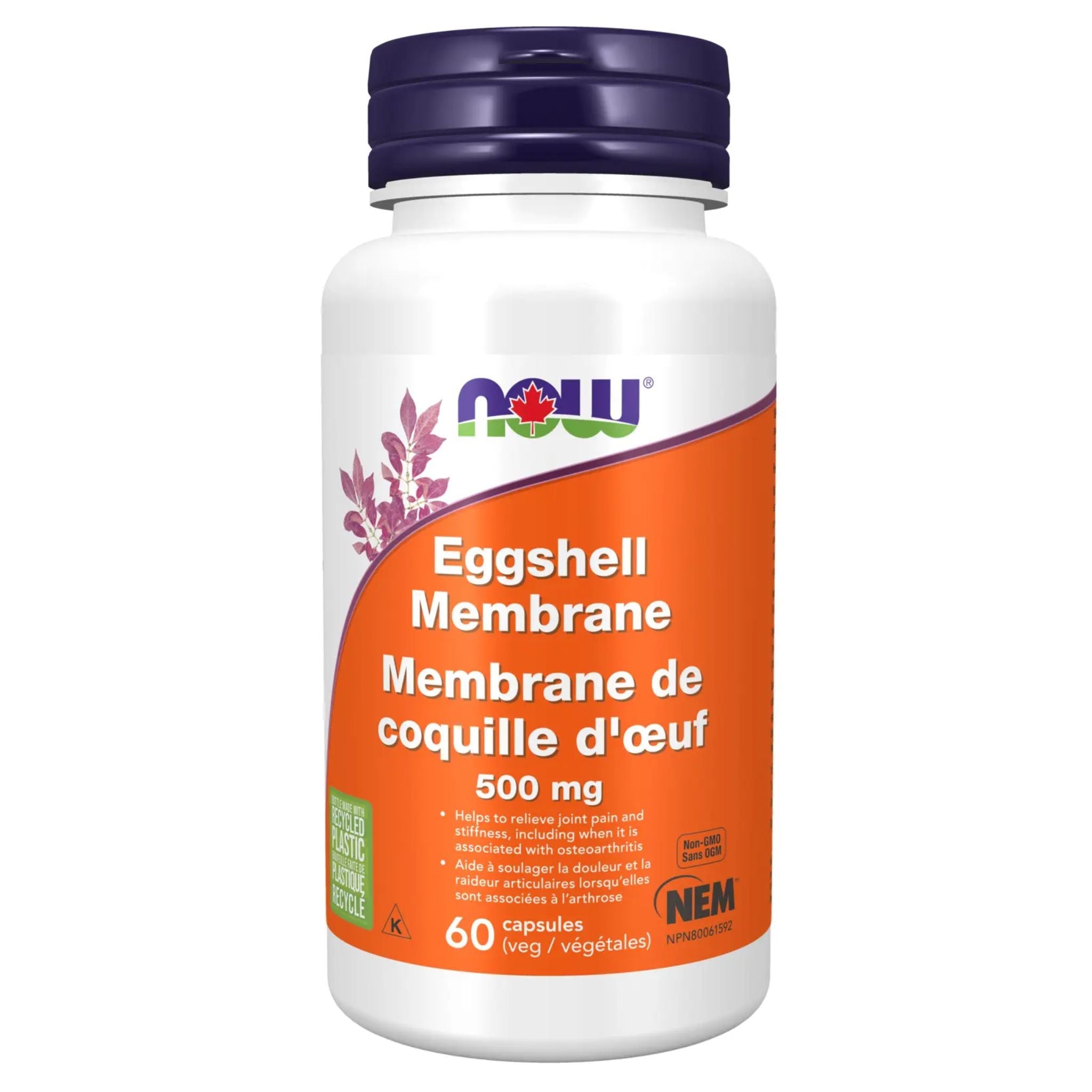 NOW Eggshell Membrane NEM® 500mg 60 Vegetable Capsules - Nature's Source Inc