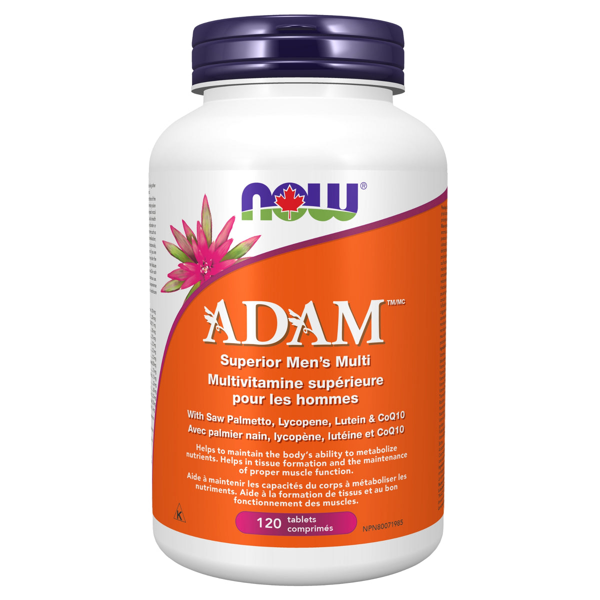 NOW ADAM Superior Men's Multi Vitamins IF 120 Tablets - Nature's Source Inc