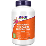 NOW Pantothenic Acid 500mg 250 Vegetable Capsules