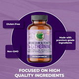 Pure Lab Vitamins Magnesium + L-Theanine 90 Vegetable Capsules