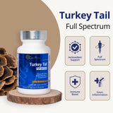 CanPrev Turkey Tail 60 Vegetable Capsules