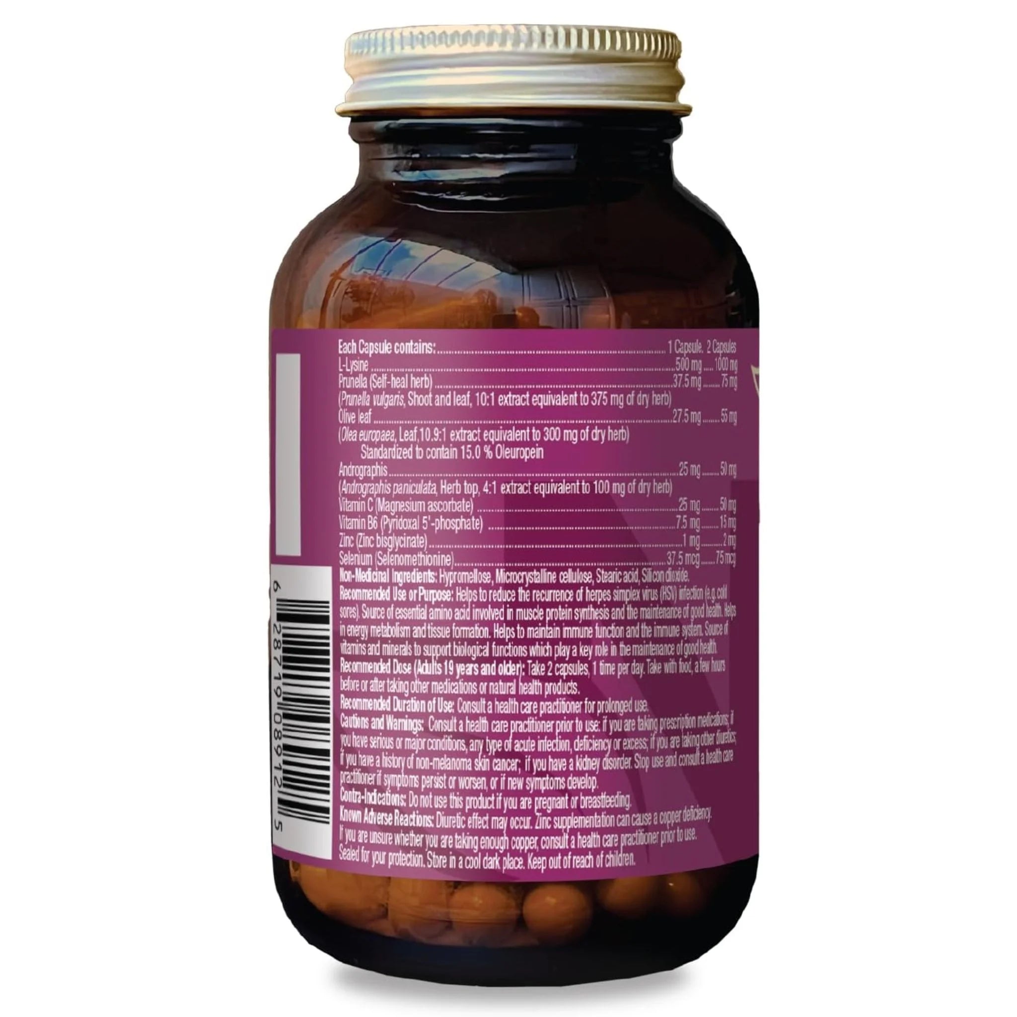 Natra LYSINEprotect 60 Capsules - Nature's Source Inc