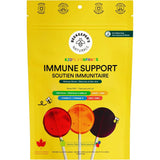 Beekeeper's Naturals Kid's Immune Support Wellness Wands 15 Count Variety Pack