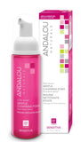 Andalou Naturals 1000 Roses Gentle Cleansing Foam 163ml - Nature's Source Inc