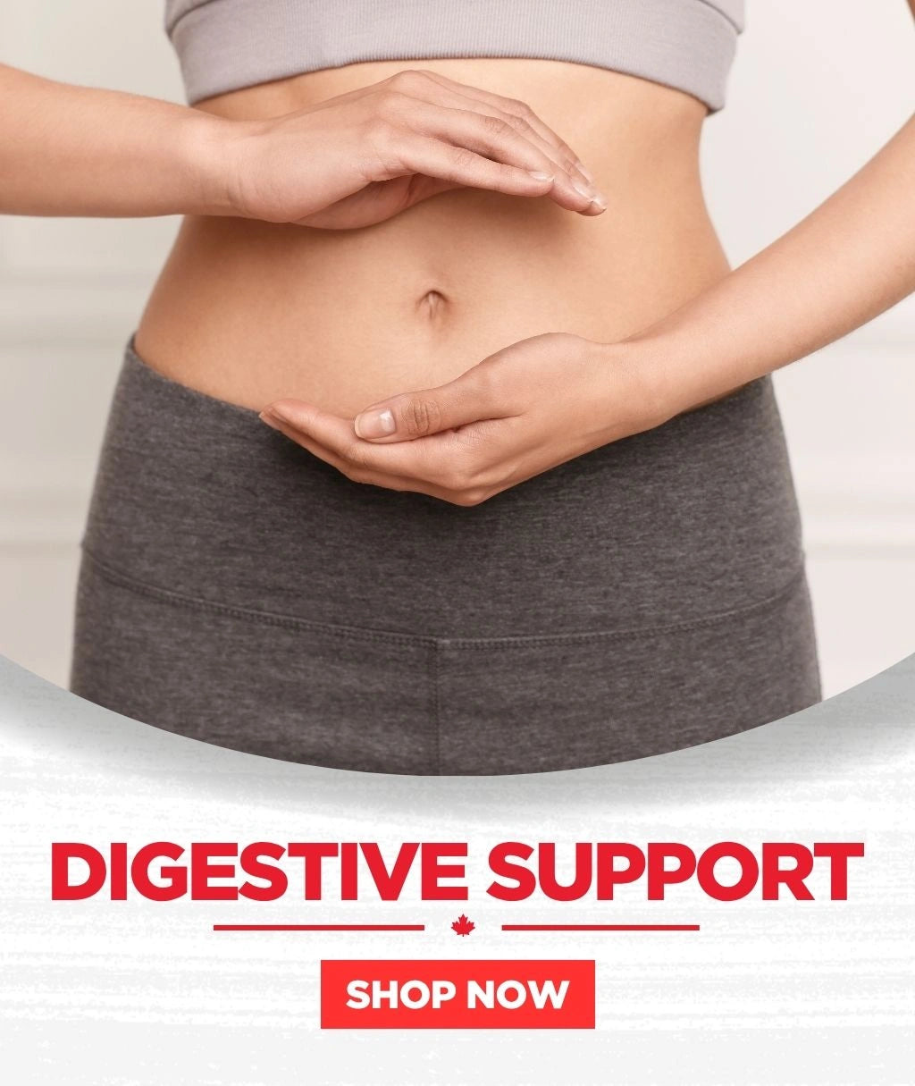 Natural Supplements for Everyday Wellness