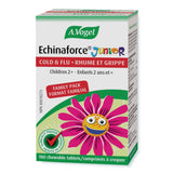 A. Vogel Echinaforce Junior 90 Tablets - Supports Immune System, Relieves And Reduces Duration Of Symptoms, Possesses Antibacterial And Anti - Inflammatory Properties, Helps Prevent Treat Colds And Flu - Nature's Source Inc