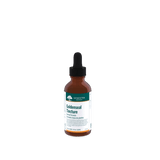 Genestra Brands Goldenseal Tincture 60ml - Nature's Source Inc