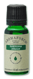 Aromaforce Frankencense Essential Oil 15ml - Nature's Source Inc
