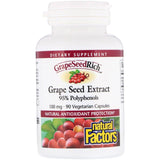 Natural Factors GrapeSeedRich 90c - Nature's Source Inc