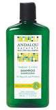 Andalou Naturals Sunflower & Citrus Shine Shampoo - 340ml - Nature's Source Inc