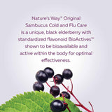 Nature's Way Original Sambucus Cold and Flu Care Syrup - 120ml - Nature's Source Inc