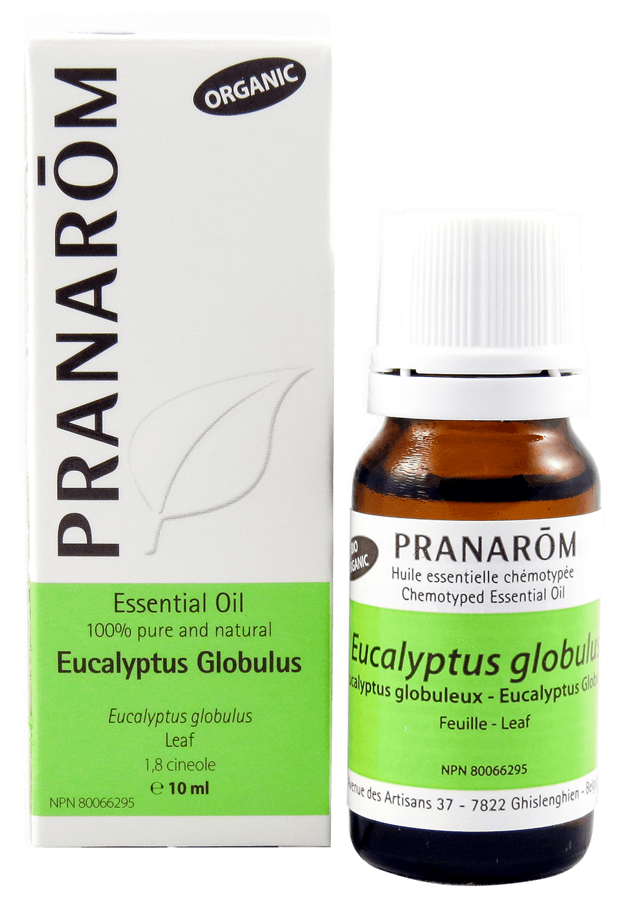 Pranarom Eucalyptus Globulus Essential Oil - 10ml