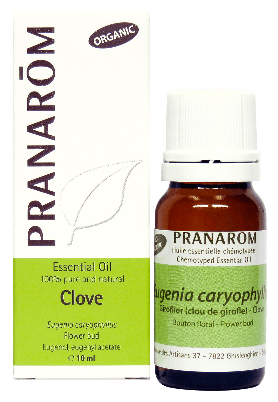 Pranarom Clove Essential Oil - 10ml