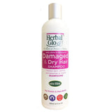 Herbal Glo Dry Damaged Shampoo 350ml - Nature's Source Inc