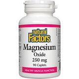Natural Factors Magnesium Oxide 250 mg 90c - Nature's Source Inc