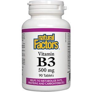 Natural Factors Vitamin B3 500 mg 90t