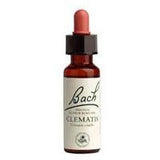 Bach Clematis 20 ml - Nature's Source Inc