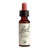 Bach Gorse 20 ml - Nature's Source Inc