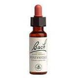 Bach Honeysuckle 20 ml - Nature's Source Inc