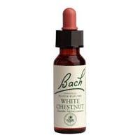 Bach Wild Oat 20 ml - Nature's Source Inc
