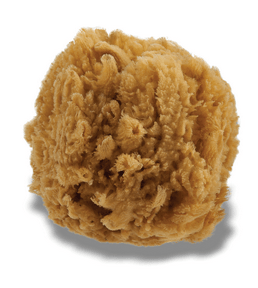 Urban Spa The All-Natural Sea Sponge (1 Piece)