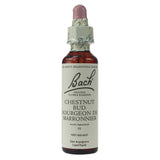 Bach Chestnut Bud 20 ml - Nature's Source Inc
