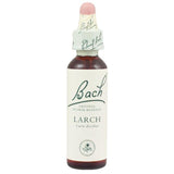 Bach Larch 20 ml - Nature's Source Inc
