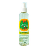 Citrobug - Citrolug Insect Repellent 250ml - Nature's Source Inc